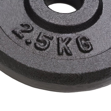 8pcs Cast Iron Weight Plates